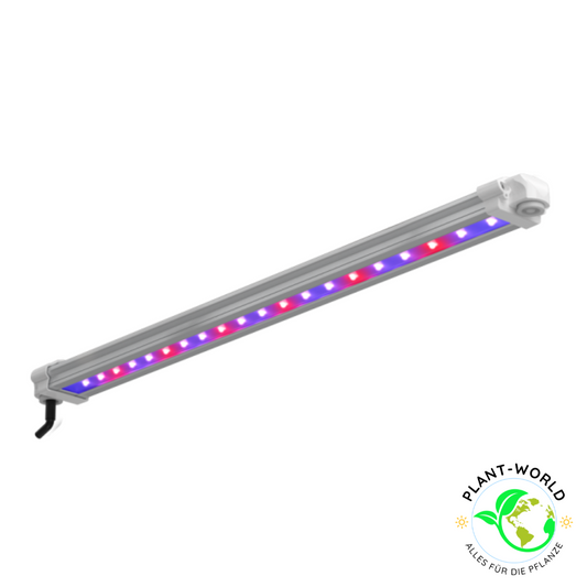 LUMii Black LED-Leiste 30 W UV/FR